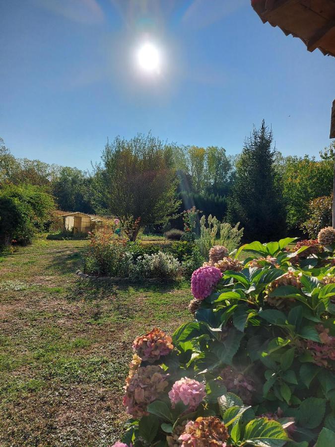 فندق Le Moulin De L'Etang Chaneins المظهر الخارجي الصورة