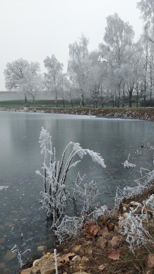 فندق Le Moulin De L'Etang Chaneins المظهر الخارجي الصورة